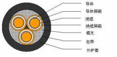 3*2.5，3*3，3*4，3*6，3*10，3*16，3*25屏蔽電纜結(jié)構(gòu)圖
