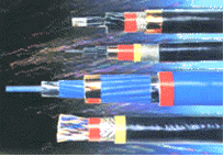 電子計(jì)算機(jī)用屏蔽電纜 電子計(jì)算機(jī)用屏蔽電纜廠
