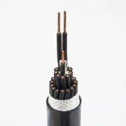 交聯(lián)聚乙烯、聚氯乙烯絕緣控制電纜