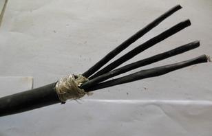 ATGTNS-FYS，ATGTNSP-FYS環(huán)保防蟻鼠電纜
