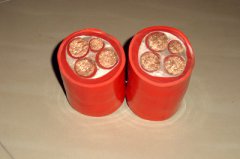 ZR-HGVFP2/ZR-HGVF硅橡膠阻燃電力電纜